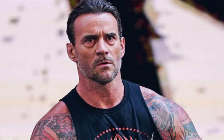 CM Punk’s Wife AJ Lee: Marriage Timeline, How They Met And Life Together